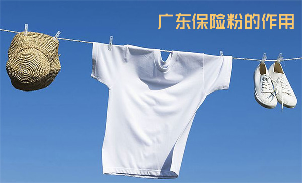 廣東保險(xiǎn)粉的作用