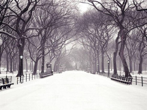 用鹽也能做融雪劑