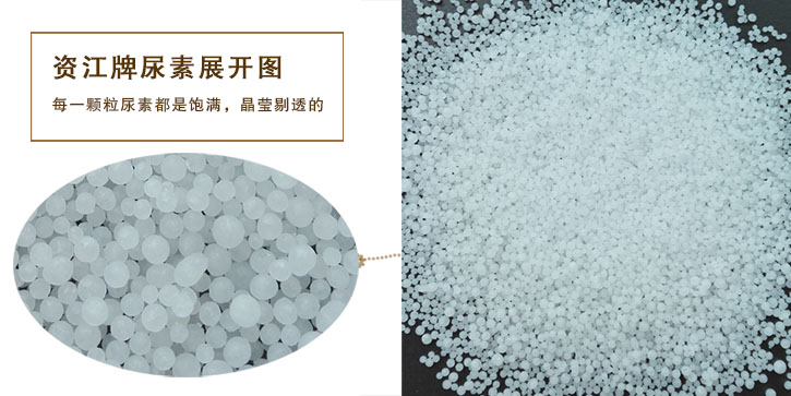 尿素生產(chǎn)廠家 尿素生產(chǎn)廠家