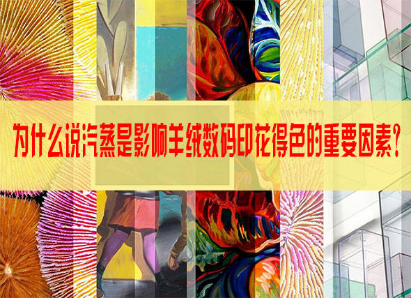 為什么說汽蒸是影響羊絨數碼印花得色的重要因素? 為什么說汽蒸是影響羊絨數碼印花得色的重要因素?