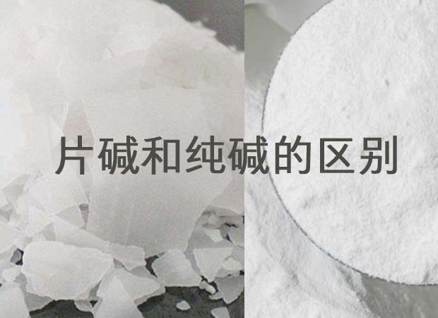 片堿和純堿的區別