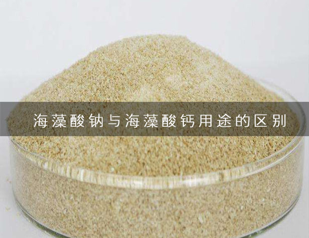 海藻酸鈉與海藻酸鈣用途的區別