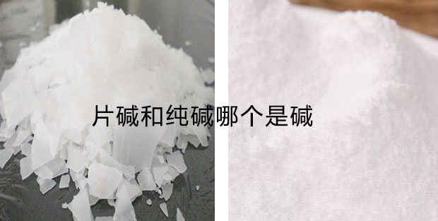 片堿和純堿哪個是堿
