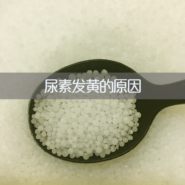 導致尿素發黃的原因