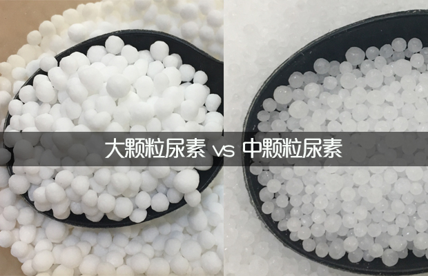 大顆粒與中顆粒尿素區別