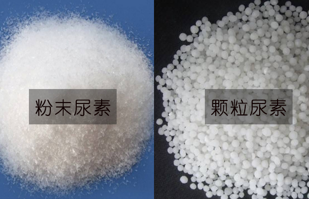 粉末尿素和顆粒尿素的區別