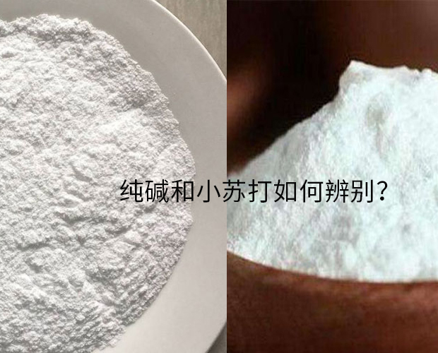 如何鑒別碳酸鈉和碳酸氫鈉