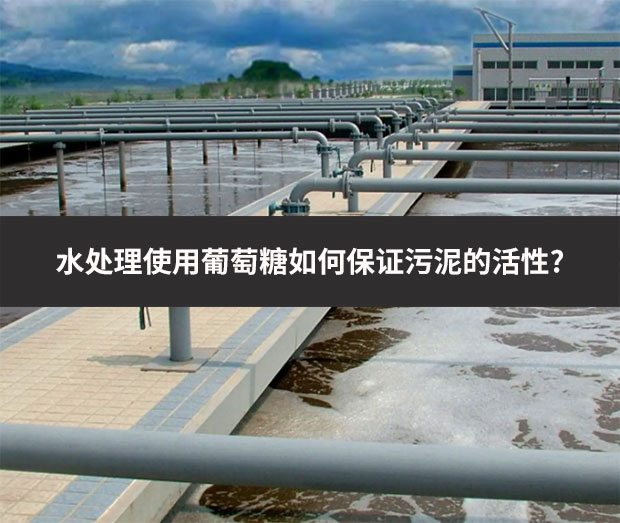 水處理使用葡萄糖如何保證污泥的活性?