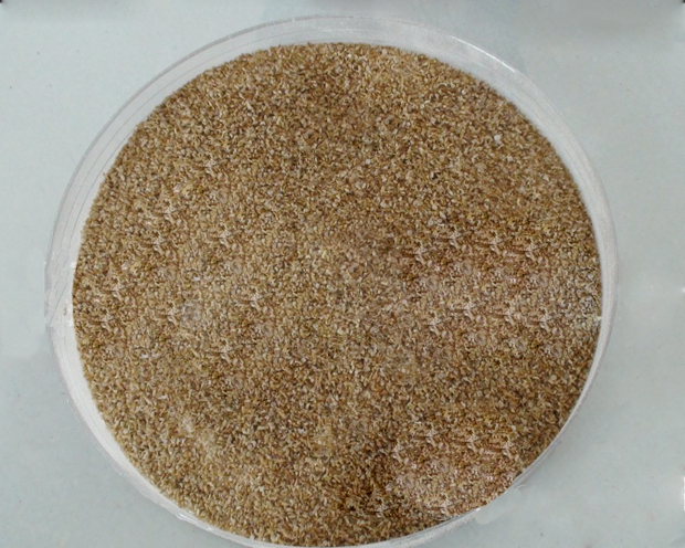 如何調節海藻酸鈉的濃度